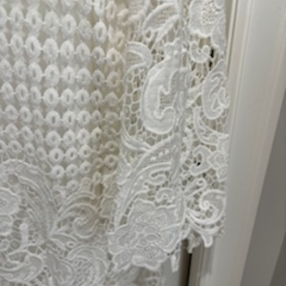 Lace Mini Dress - Picture 2 of 3